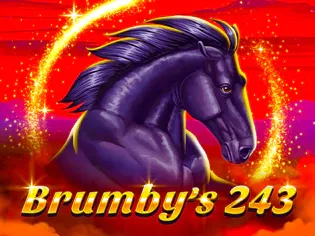 Brumby's 243 icon